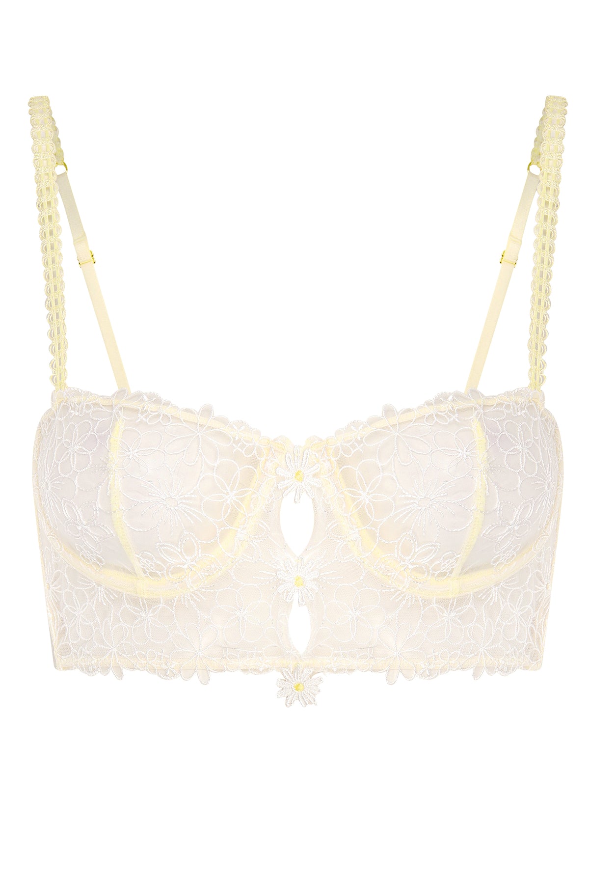 HAYDEE BUSTIER