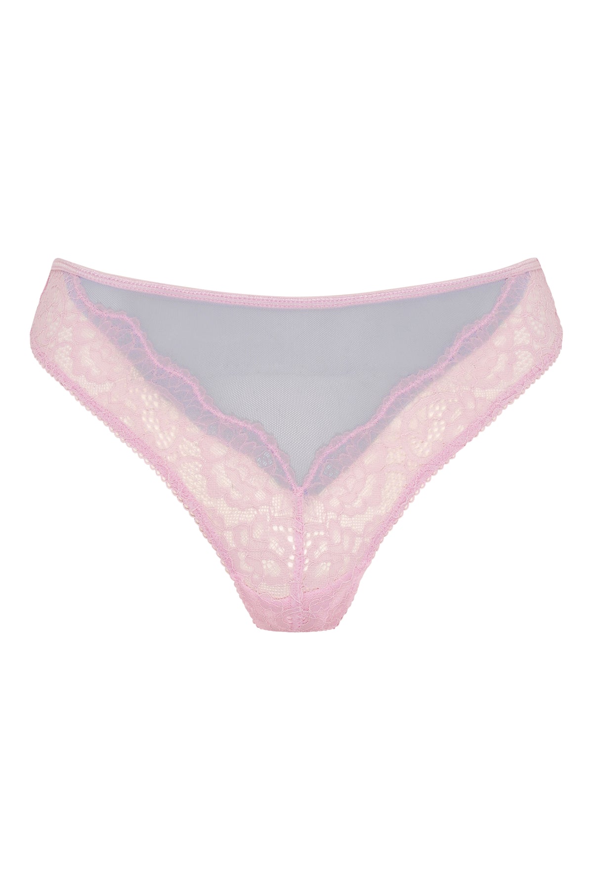 EVERYDAY LOVERS | HONEY BRIEF 3x MULTIPACK
