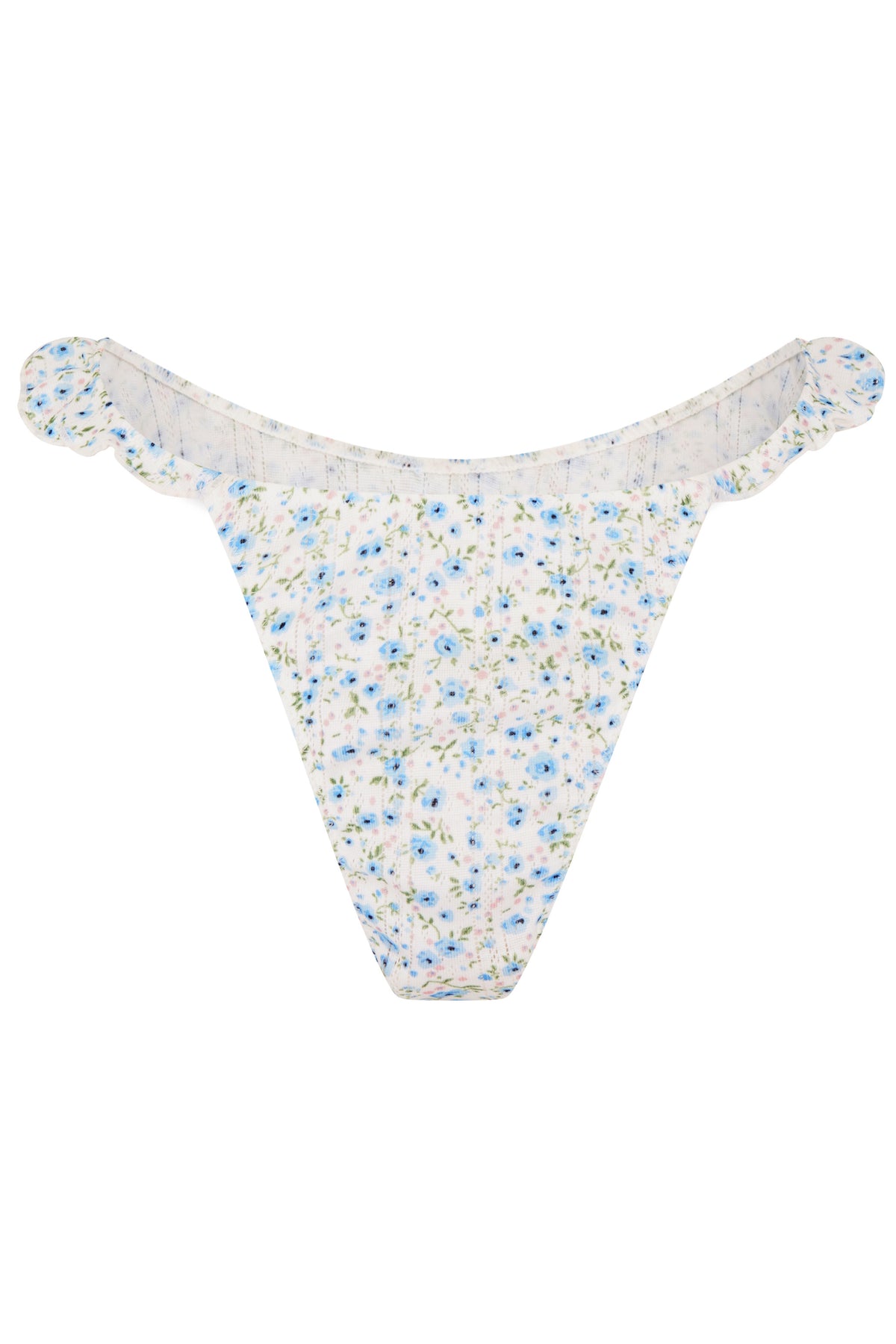 LISON BRIEF